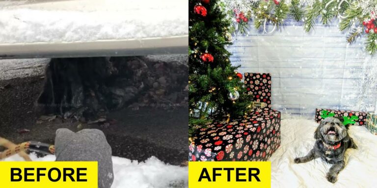 Rescuers Stunned by Mystery Behind Dark Clump on Ground